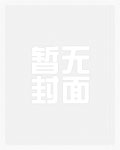 大夏创业起居注